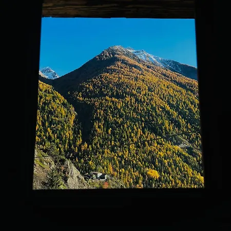 公寓 La Casetta Oyace